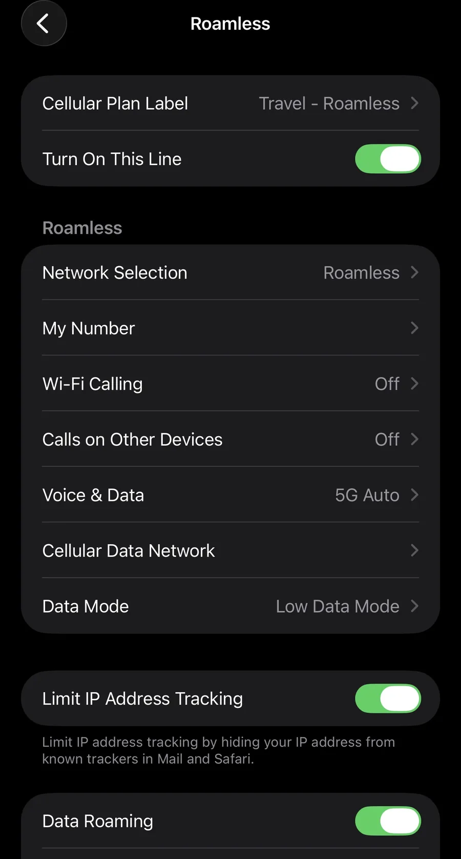 iOS Settings for a travel eSIM line labelled Travel, with the line turned on and Data Roaming enabled